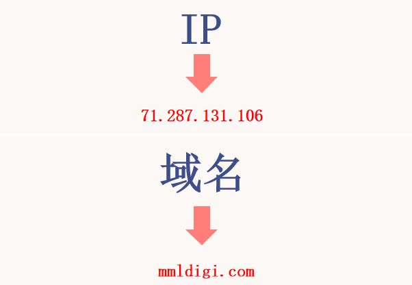 IP和域名